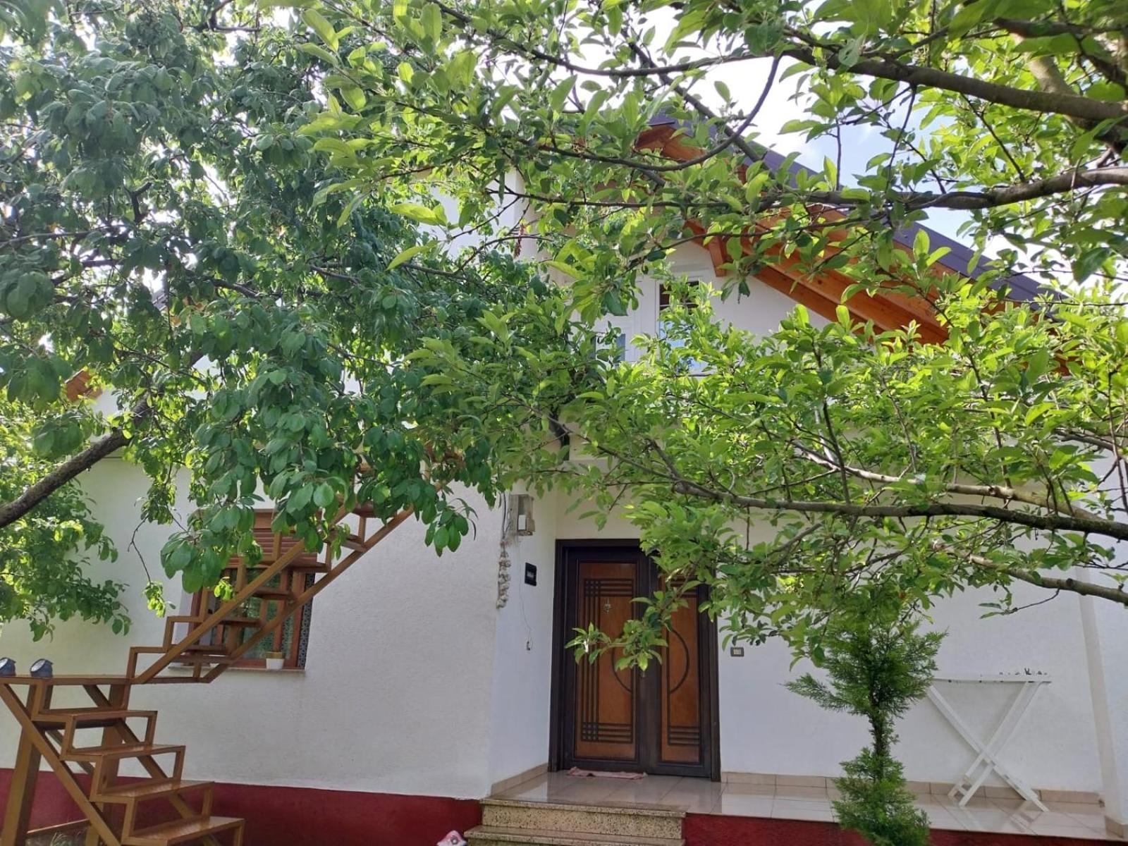 Riza Guest House Puke المظهر الخارجي الصورة