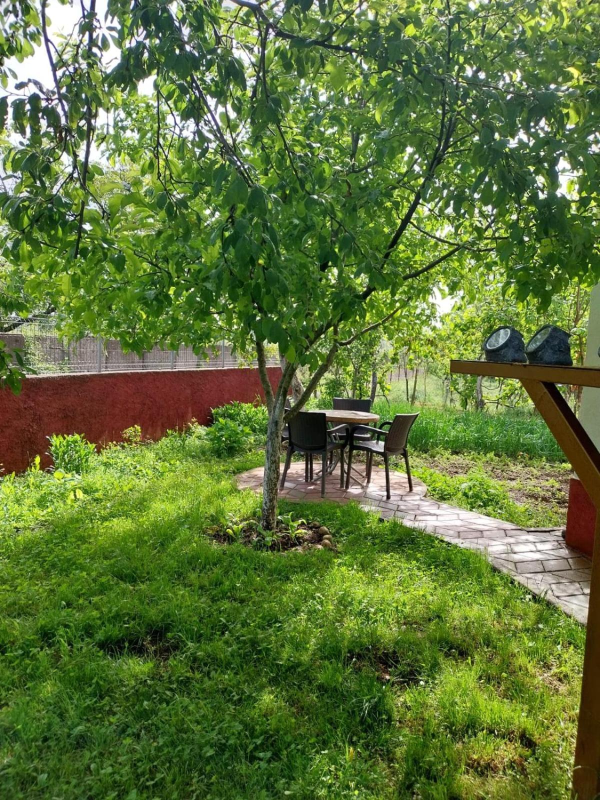 Riza Guest House Puke المظهر الخارجي الصورة